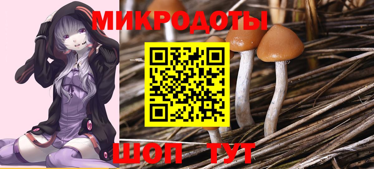 Ярославль  наркошоп  Вход с VPN  Галлюциногенные грибы мухоморы  Псилоцибиновые грибы ЛСД 