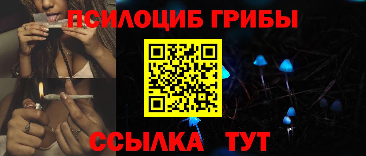 Псилоцибиновые грибы GOLDEN TEACHER Ярославль